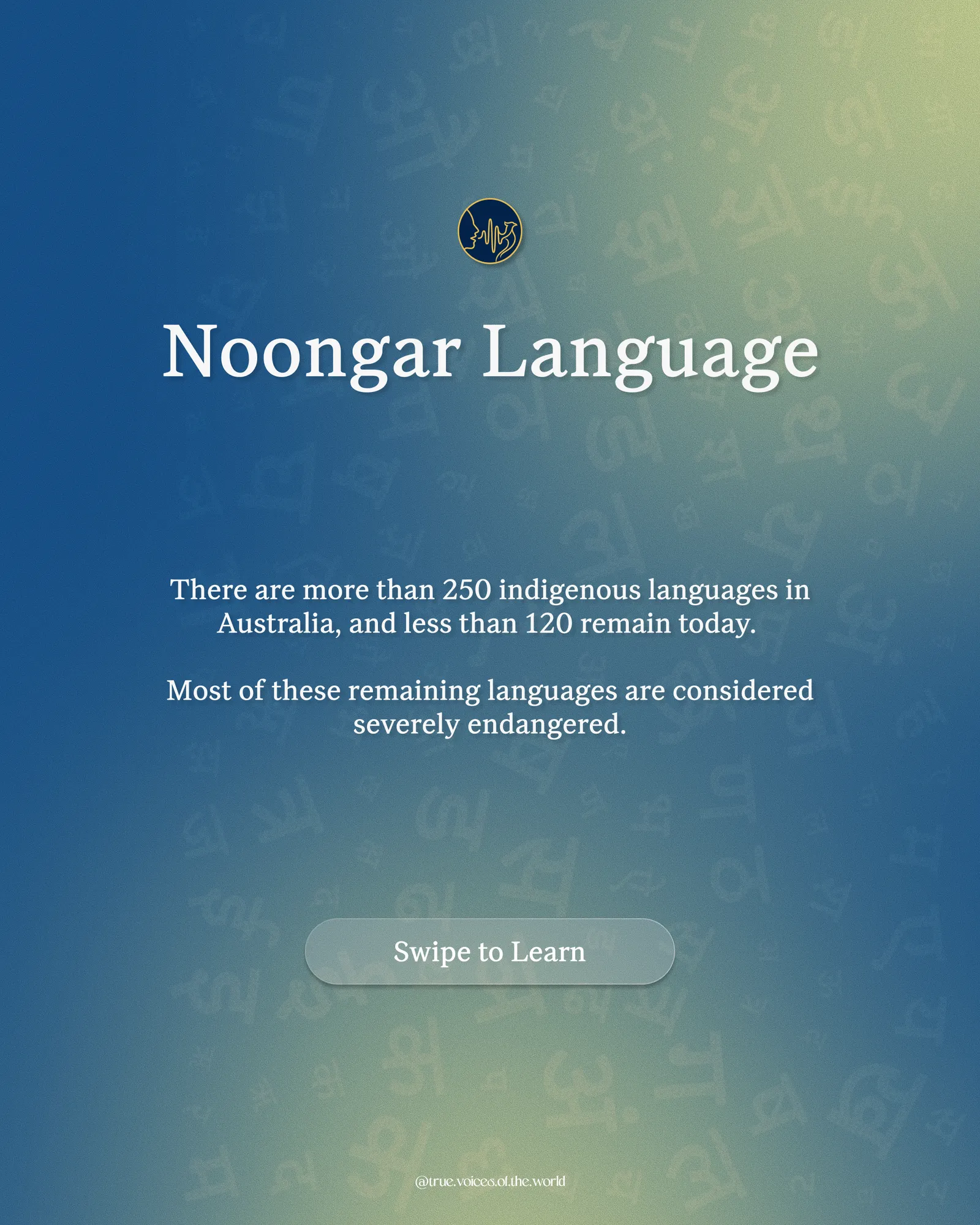 Poster: Noongar Language; more than 250 Australian indigenous languages existed and fewer than 120 remain, most severely endangered